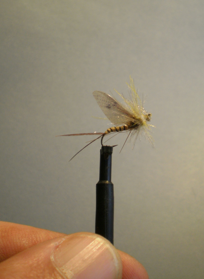 mouche de mai Hemingway Mouche11