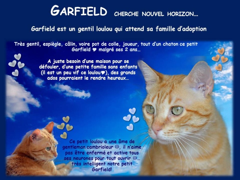 GARFIELD 5 Garfie11