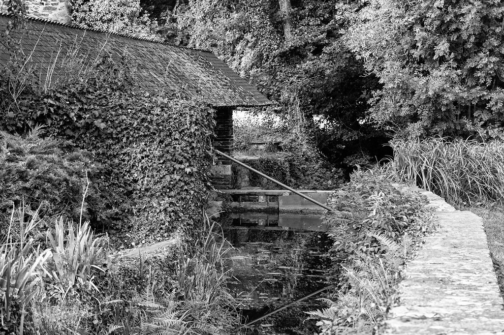 Noir et Blanc / Sépia / Désaturation partielle / Traitements divers - Page 34 48710311