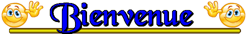 Présentation de Davylebolloch29 83695113