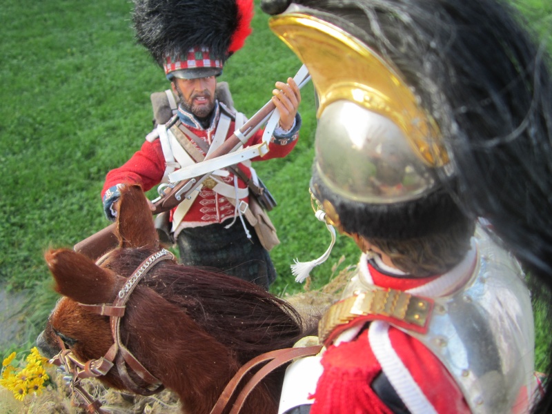 La dernière charge ( Mont Saint Jean -  18 juin 1815) Img_2117