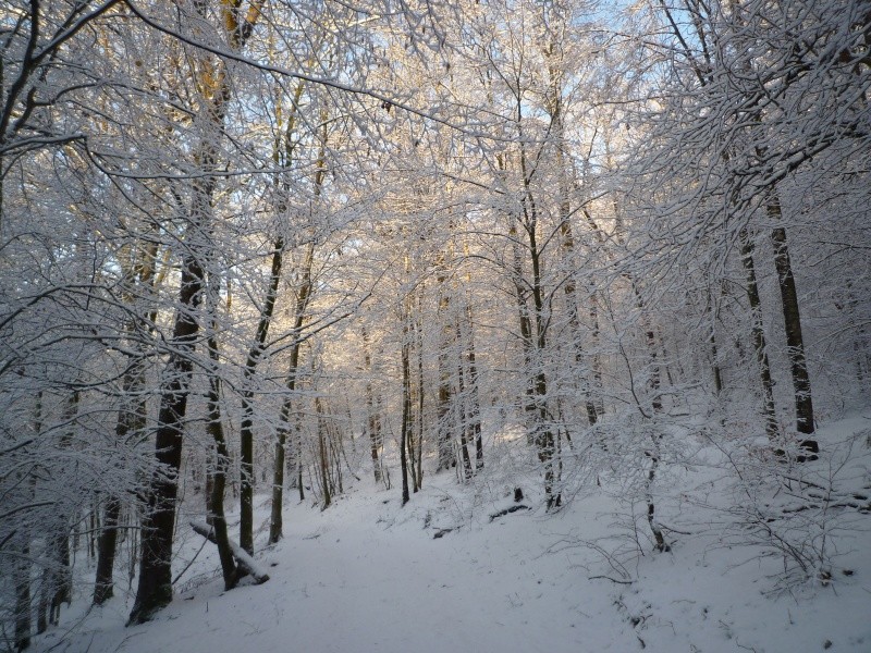 blanc comme neige 28/12 P1010822