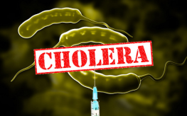 GMO CHOLERA BACTERIA TO BE RELEASED IN AUSTRALIA, CANADA, AND THE UNITED STATES Bacter10