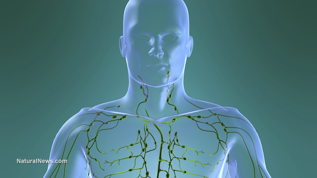 5 SIMPLE METHODS TO BOOST IMMUNITY AND DETOXIFICATION Lymph-10