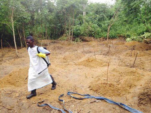 BODIES DUMPED IN STREETS AS WEST AFRICA STRUGGLES TO CURB EBOLA R-110