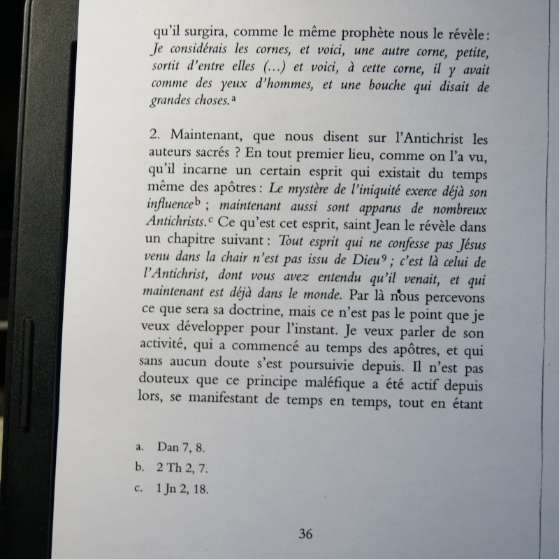Cardinal John Henry Newman : Pour la première fois en français les Quatre Sermons sur l'Antichrist ! - Page 6 Img_0019