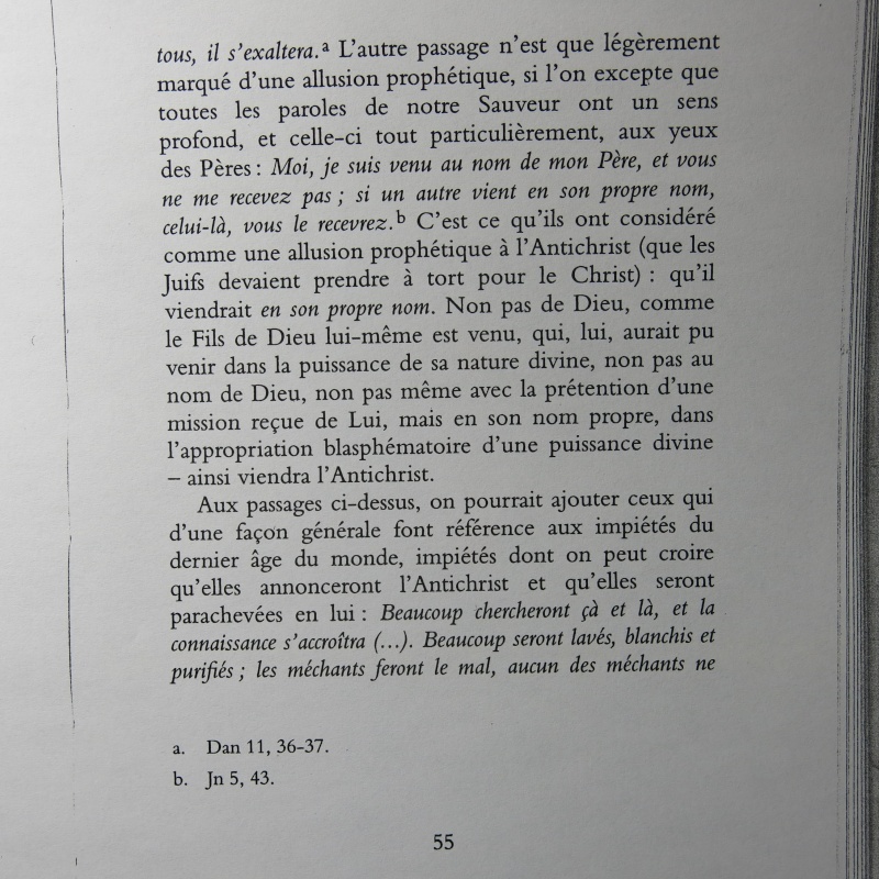 Cardinal John Henry Newman : Pour la première fois en français les Quatre Sermons sur l'Antichrist ! - Page 9 Img_0046