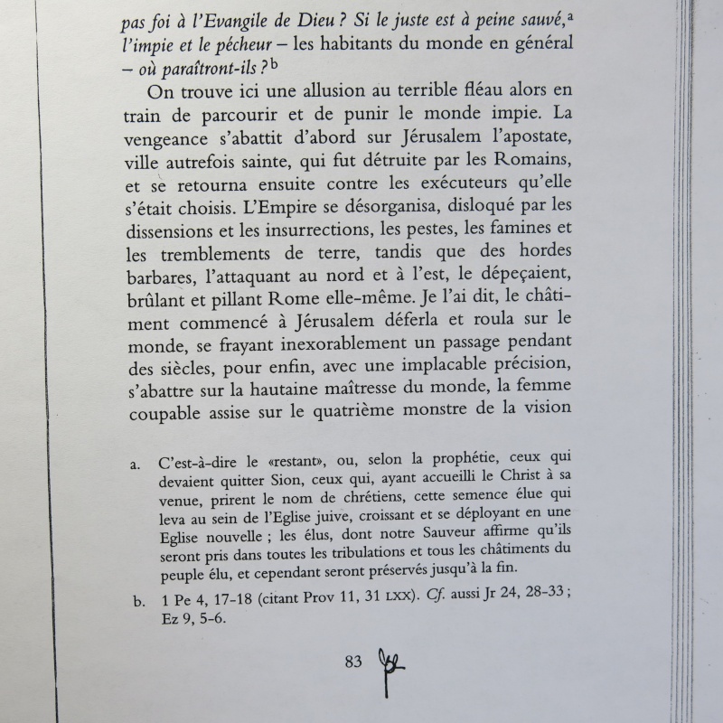 Cardinal John Henry Newman : Pour la première fois en français les Quatre Sermons sur l'Antichrist ! - Page 12 Img_0135