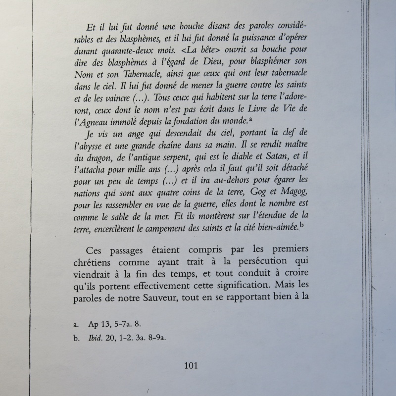 Cardinal John Henry Newman : Pour la première fois en français les Quatre Sermons sur l'Antichrist ! - Page 14 Img_0153