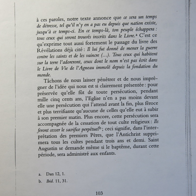 Cardinal John Henry Newman : Pour la première fois en français les Quatre Sermons sur l'Antichrist ! - Page 14 Img_0156