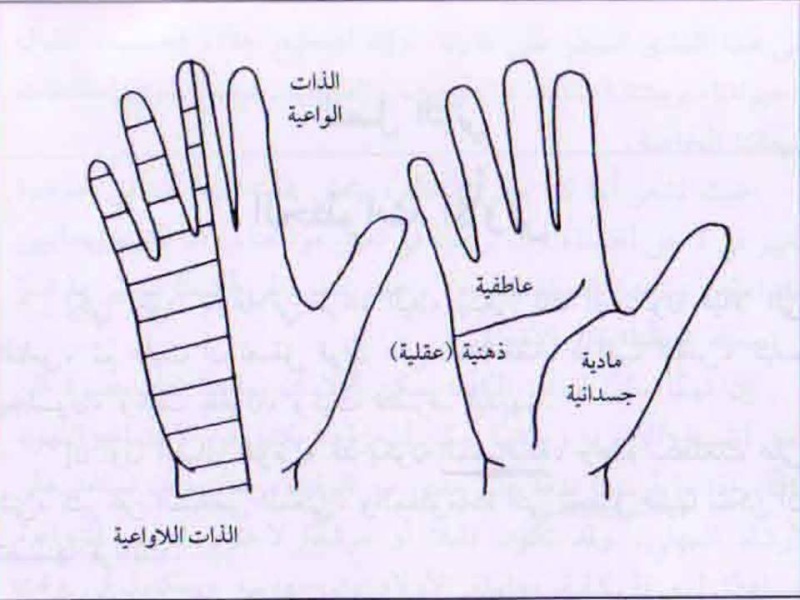 انظر لكف الحبيب .... وتعلم  Sss10