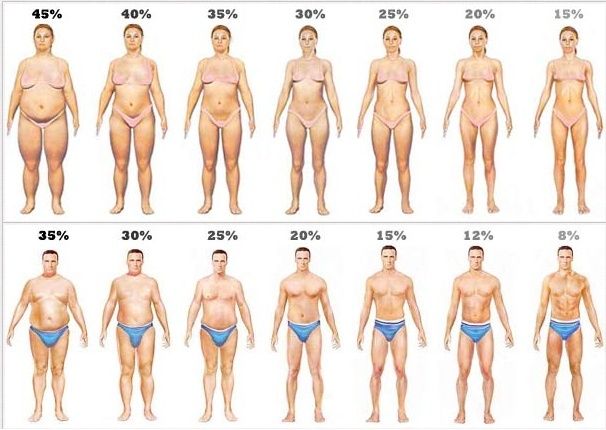 Normal body weight and height for adults Body_f10