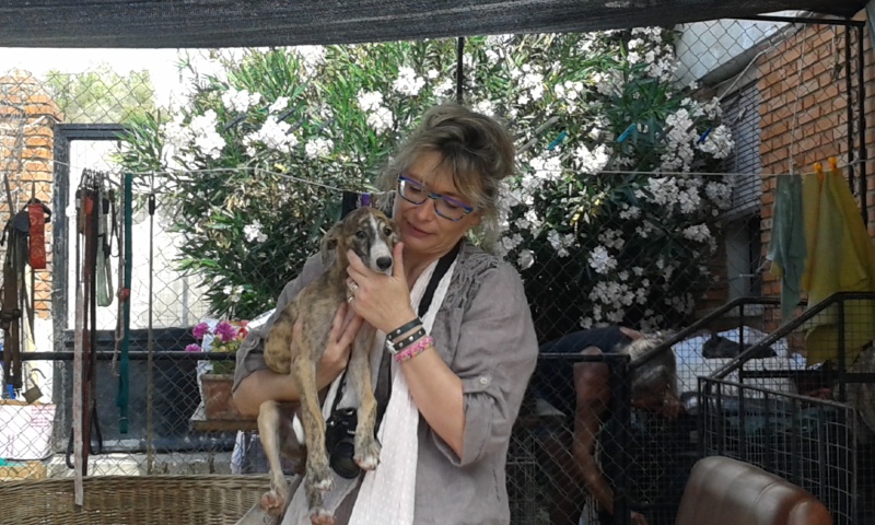 Zoé – Adorable galguita Scooby France – Voyage18