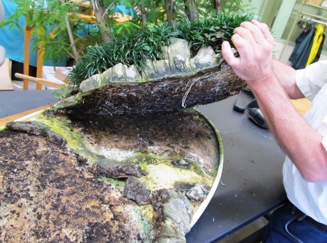 American Bonsai at the NC Arboretum - Page 12 G110