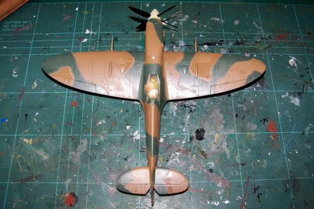 1/48 Spitfire Mk VIII > Morotaï étè 1945 Hasegawa 100_7716