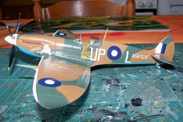 1/48 Spitfire Mk VIII > Morotaï étè 1945 Hasegawa - Page 2 100_8027