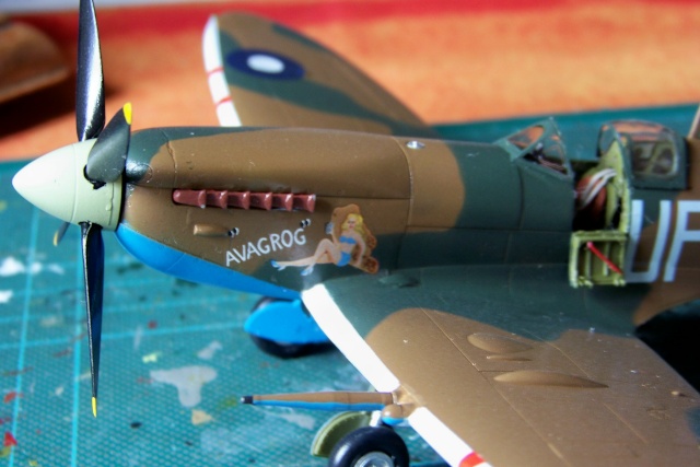 1/48 Spitfire Mk VIII > Morotaï étè 1945 Hasegawa - Page 2 100_8111