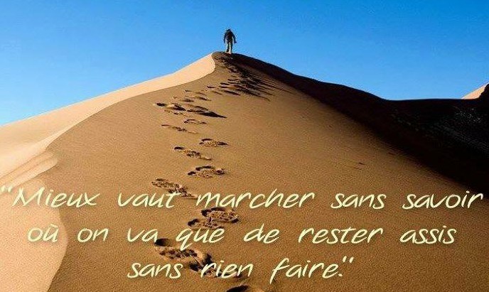 Proverbe du jour - Page 10 10169310