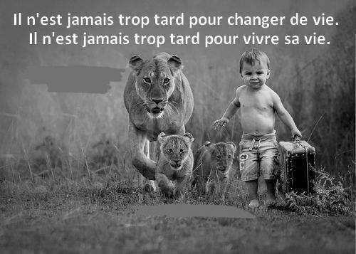 proverbe - Proverbe du jour - Page 10 19028010