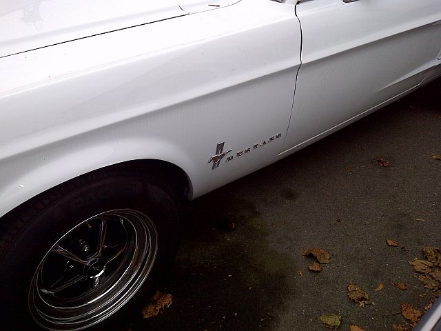 Ford Mustang + 1957 Ford Fairlane - auf dem Parkplatz "schnappgeschossen"  375