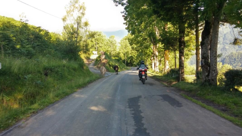 Traversée des Pyrénées en KLRs 10954-10