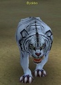 Mi Primera Joya Tantra Tigre10