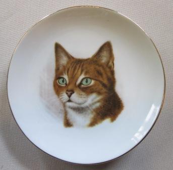 Cat dish with Arnold's Agencies NZ Cat_di10