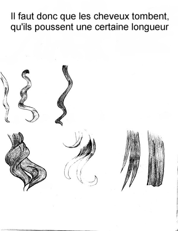 Barbe et Chevelure Israélite  Drawin10