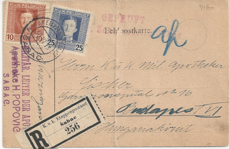 1914 - 1918 Der Untergang der K.u.K. Monarchie - Seite 2 Bild_345