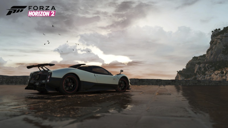 Forza Horizon 2 : visuels F310