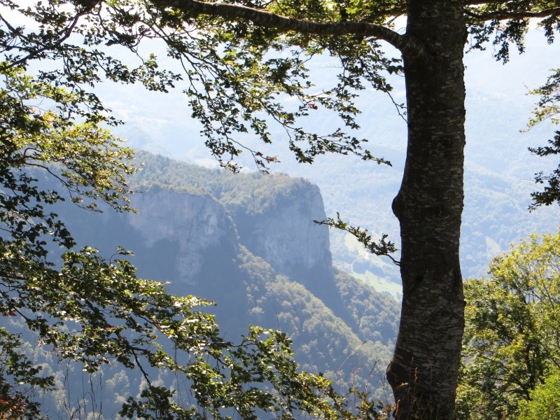 hauts plateaux du vercors avec les CVA ( cavaliers voyageurs d'Alsace) Img_4410