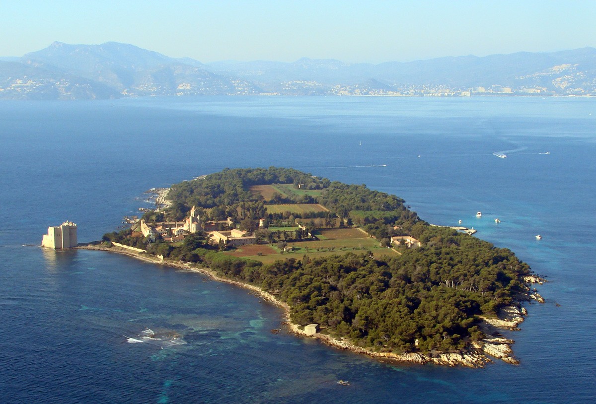 Les vins de l'Abbaye de Lérins - île de Saint Honorat - Alpes Maritimes - France 10360410