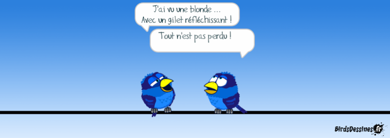 Les Birds - Page 7 14023410