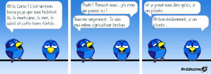 Les Birds - Page 9 14071310