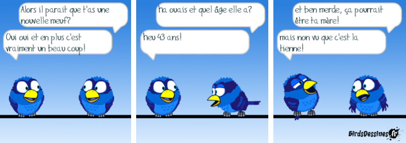 Les Birds - Page 9 14144110