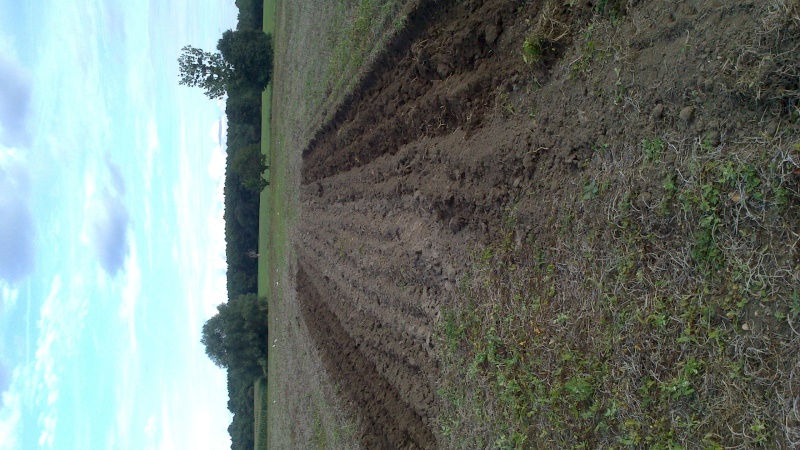 Le fendt en action Dsc_0413