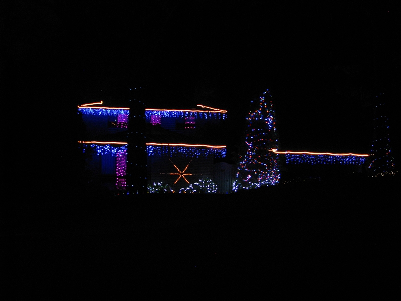 Christmas Lights Img_4511