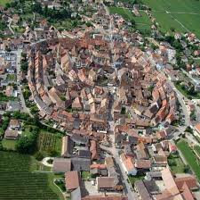 puce dans le vignoble Alsacien - EGUISHEIM - Haut Rhin Images11