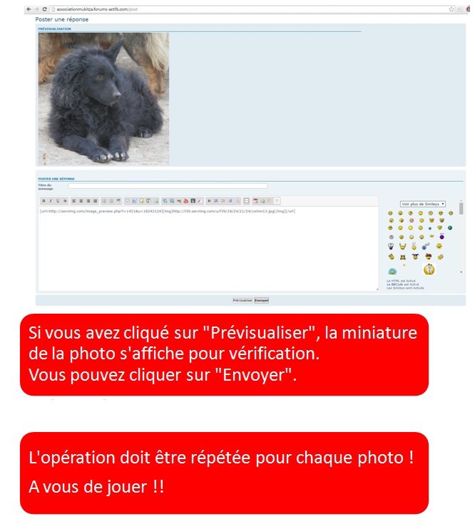 Comment insérer une photo.... 910