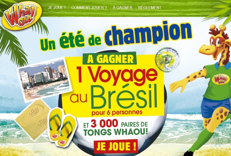 1.07 IG + TAS Wahou 1 voyage au Brésil 3000 paires de tong DLP:7/12/2015 Be12