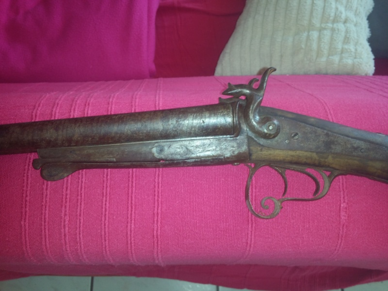 ancien fusil  20140919