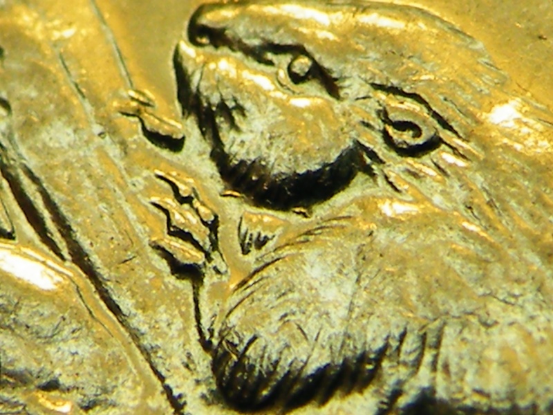 1977 - Dommage au Coin sous cou du Castor (Die Damage under Neck Bv's) Dscf7815