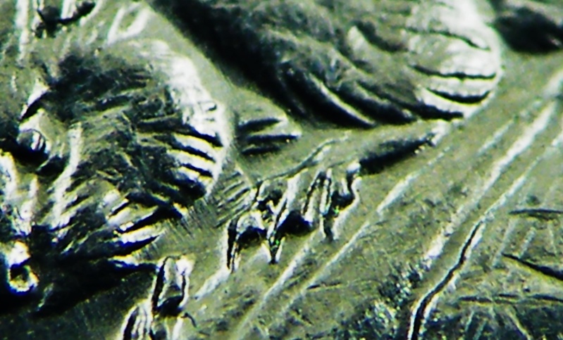 1977 - Dommage au Coin sous cou du Castor (Die Damage under Neck Bv's) Dscf7913