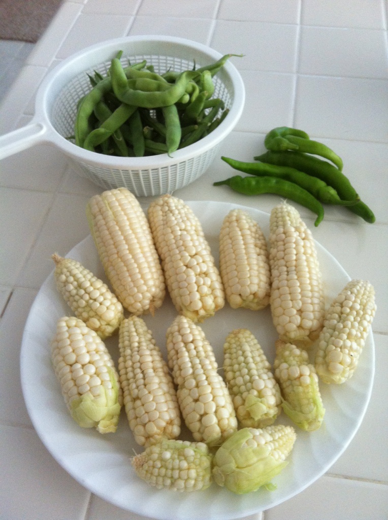 What are you eating from your garden today? - Page 2 Corn_h12