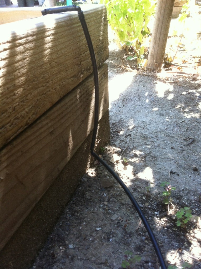 Replace sprinklers with drip irrigation? Drip_s12