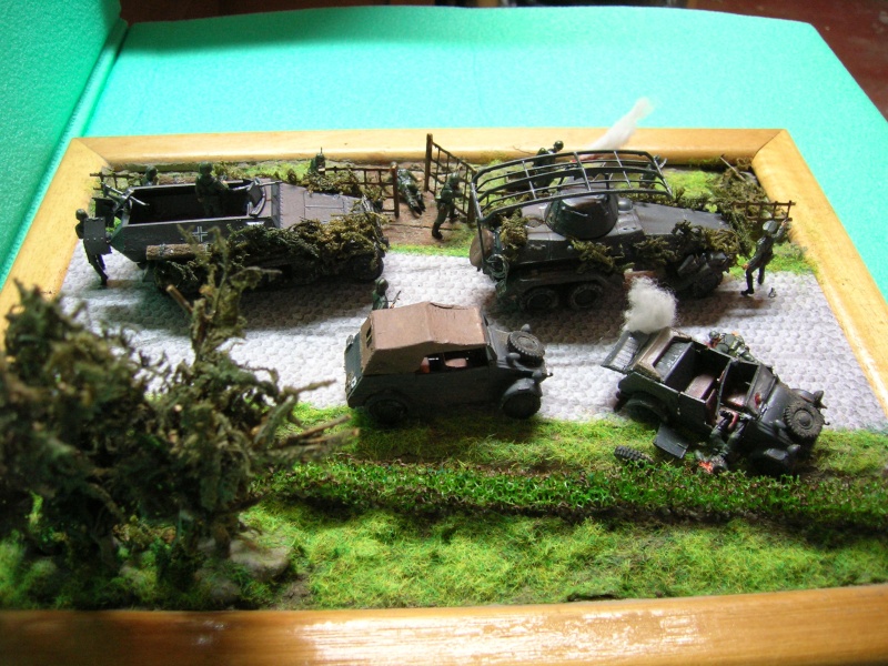 SDKFZ-231(6 roues)+  Sd.Kfz.251/1 + kubelwagen 1/72 Italeri  Dscn3442