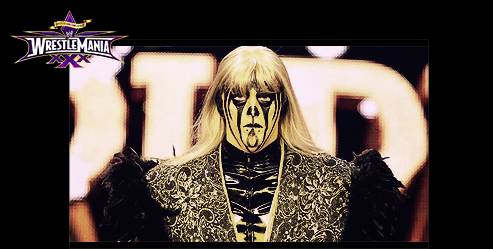 WWE - Wrestlemania XXX. Goldus10