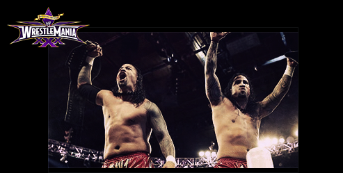 WWE - Wrestlemania XXX. Usos_w10