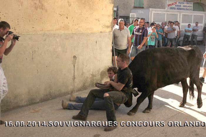 ......... 16..08..2014..SOUVIGNARGUES...CONCOUR Img_2610