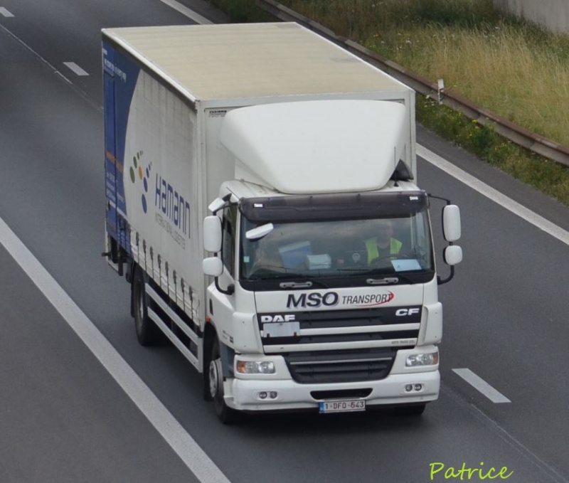  MSO  Transport  (Zele) 75pp11